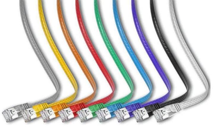 Actual product image Wirewin Network cable (STP, CAT6, 0.25 m)