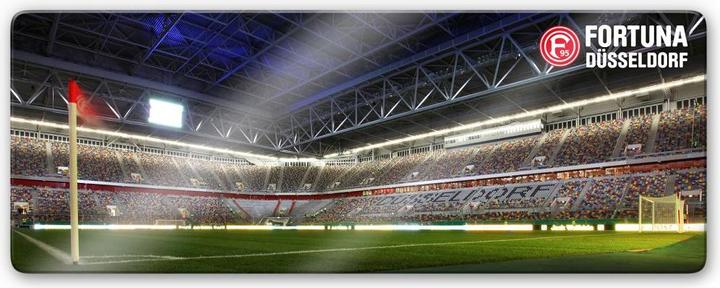 Actual product image Fortuna Düsseldorf Esprit Arena corner flag (40 x 100 cm)