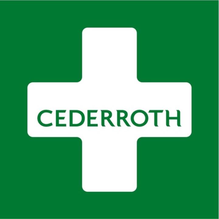 Image du produit Cederroth Salvequick (144 x)