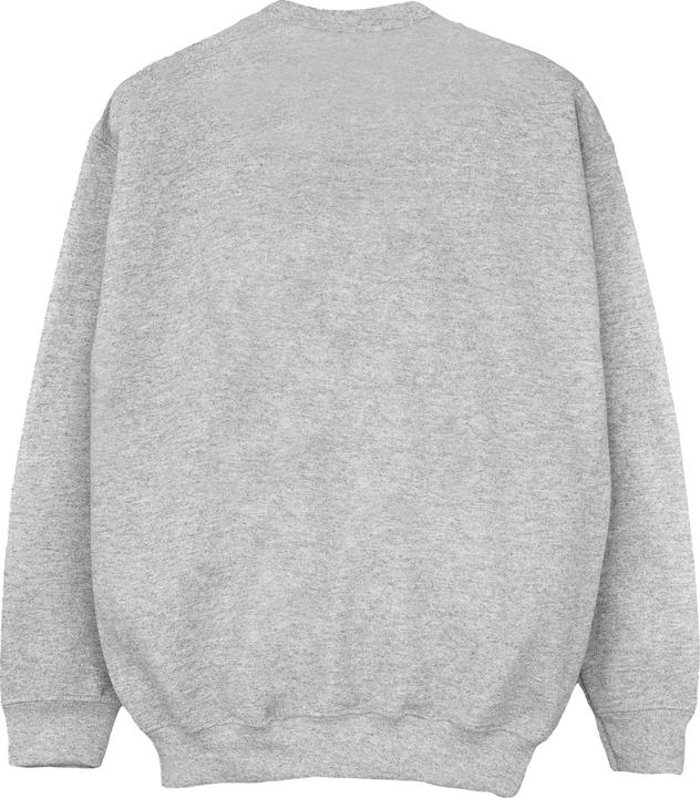 Produktbild Disney Encanto Mirabel Flower Sweatshirt Mädchen (152, 158)
