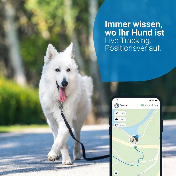 Actual product image Tractive Dog 4 GPS Tracker for Dogs (Cat, Dog, Walks)