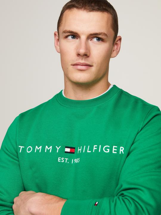 Image du produit Tommy Hilfiger Tommy Logo Sweatshirt (L)