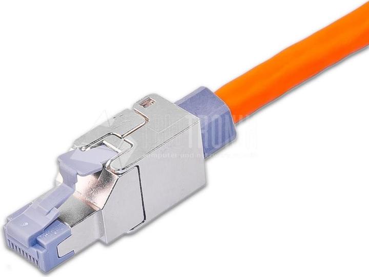 Wirewin Câble de réseau (UTP, CAT6, 0.15 m)
