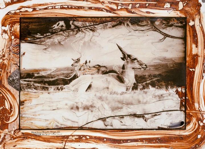 Image du produit Peter Beard (Allemand, Anglais, Français, David Fahey, Owen Edwards, Steven M. L. Aronson, Nejma Beard, 2020)