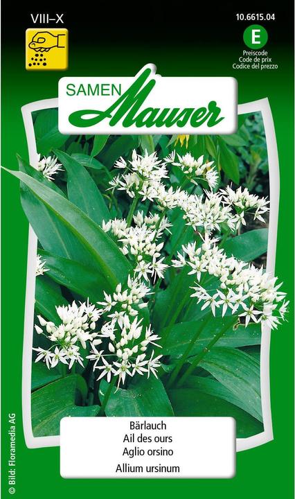 Produktbild Samen Mauser Bärlauch (Kräutersamen)