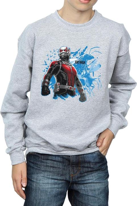 Produktbild Jungen AntMan Stehendes Sweatshirt (152, 158)