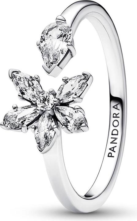 Produktbild Pandora Funkelndes Herbarium Cluster Offener Ring (60, 925 Silber)