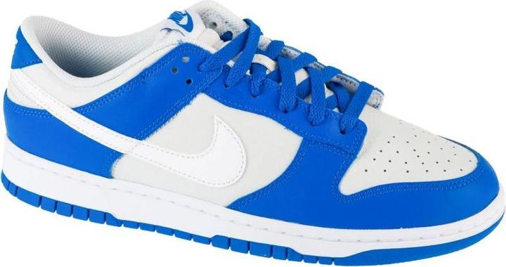 Nike Dunk Low (44)