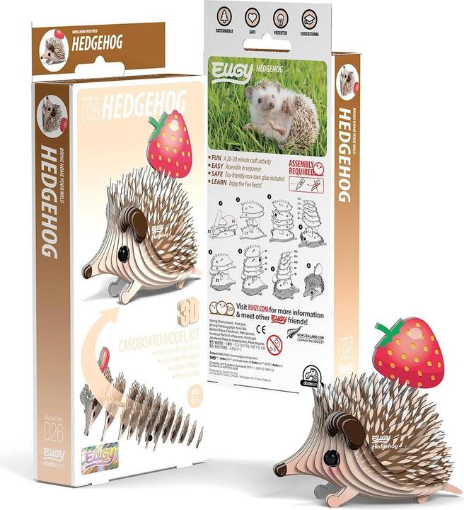Eugy Set 3D Craft Riccio