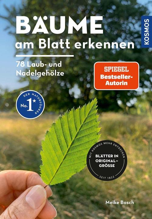 Produktbild Kosmos Bäume am Blatt erkennen - 78 Laub- und Nadelgehölze. Blätter in Originalgrösse (Deutsch, Meike Bosch, 2024)