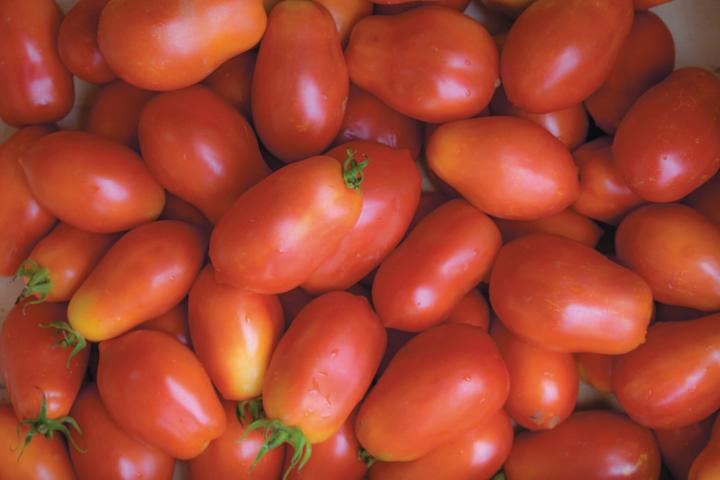 Immagine prodotto Living Seeds Pomodoro, Roma VF (Semi di verdura)