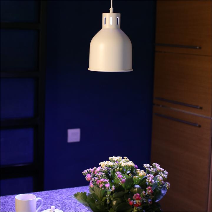 Produktbild Neogard Saga (LED, 230 V)