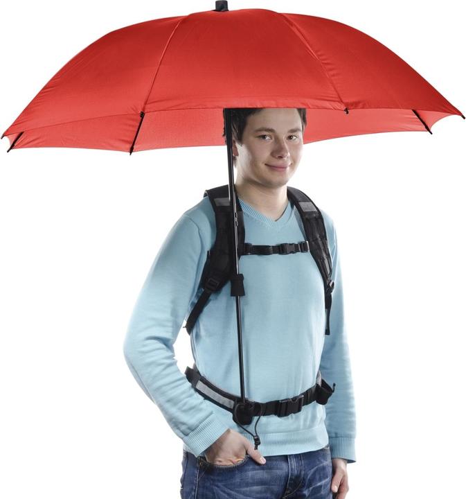 Image du produit Walimex pro Swing