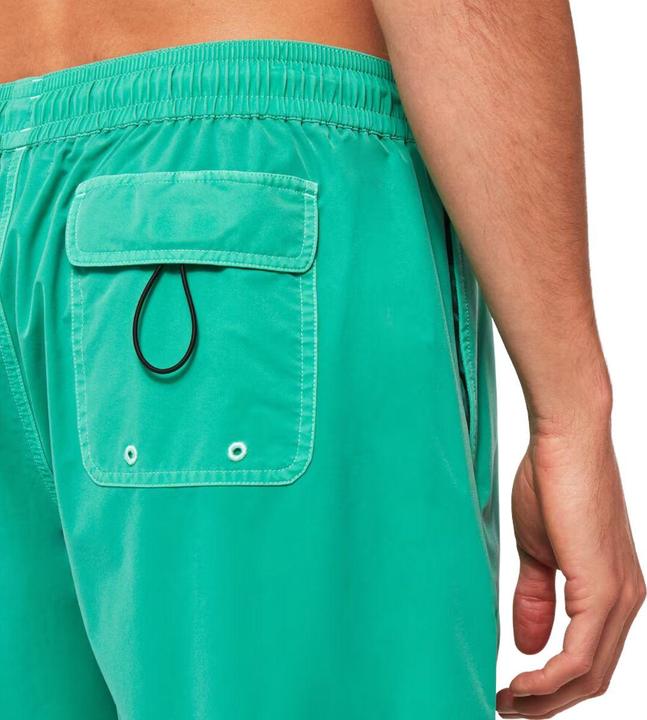 Actual product image Oakley Robinson RC 16" Beach Shorts (L)