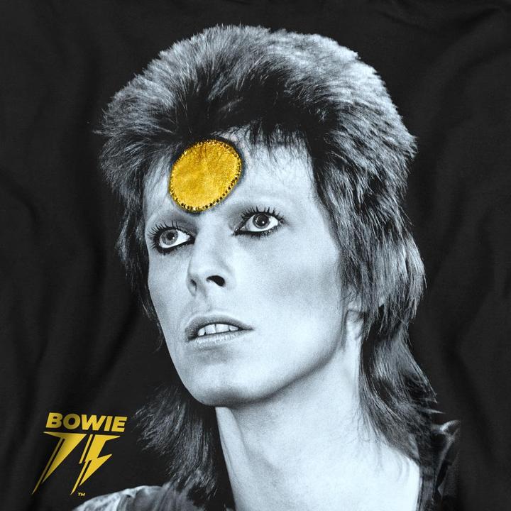 Actual product image David Bowie Unisex Adult Golden Bowie Sweatshirt (XL)