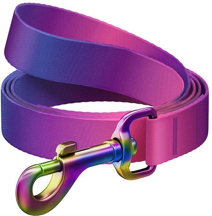 Produktbild Waudog gradient nylon dog leash, 15mm wide, 122cm long, purple (S, Hund, Hundesport)