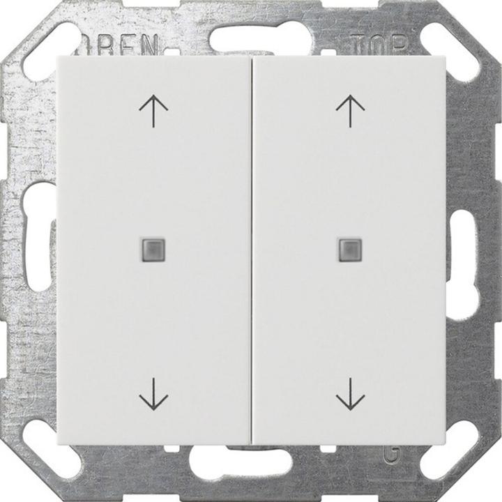 Actual product image Gira Button