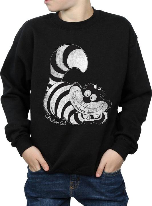 Image du produit Disney Sweatshirt pour garçons (116)