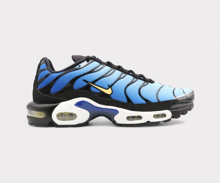 Image du produit Nike Air Max Plus OG (40.5)