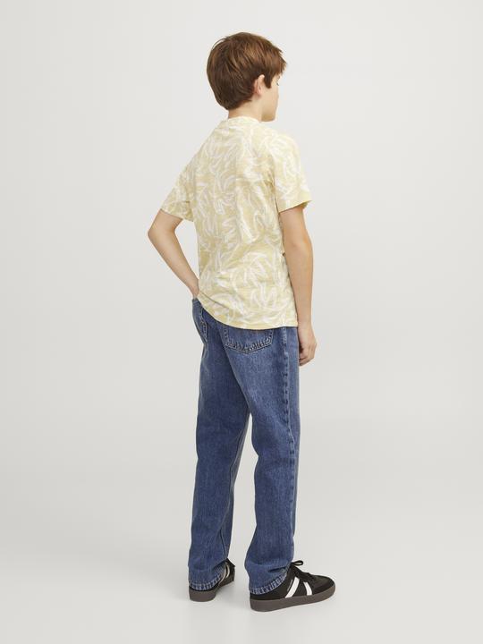 Image du produit Jack & Jones Jorlafayette Aop Tee Ss Crew Neck Jnr (176)