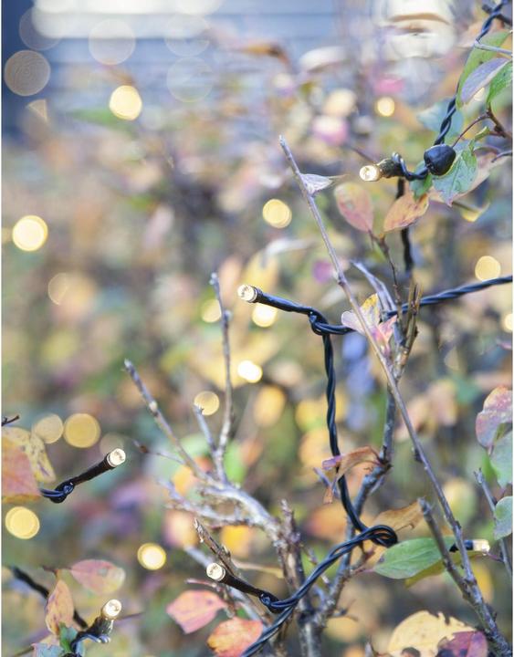 Image du produit Star Trading System Decor, Guirlande lumineuse, 1000cm (10 m)