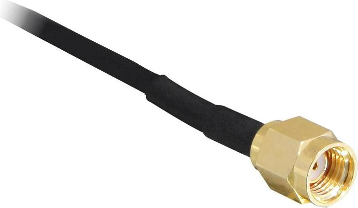 Actual product image Delock WLAN Antenna RP-SMA (Wi-Fi)