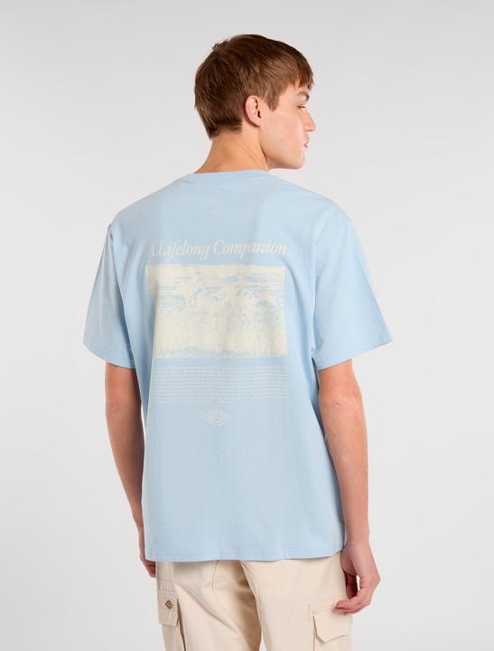 Immagine prodotto Dickies Companion Script Ss Tee Skyway (L)