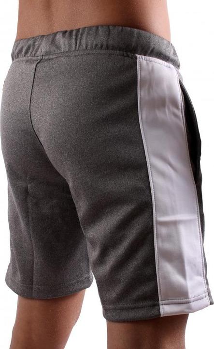 Produktbild Gym Generation Urban Force Shorts Frost Grey (S)
