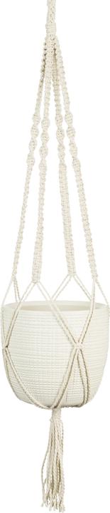 Immagine prodotto Scheurich semaforo sospeso 868 (15.60 cm)