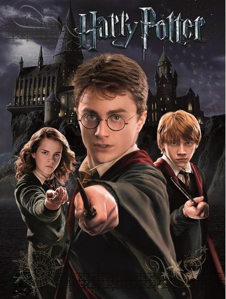 Actual product image Printed Harry Ron And Hermione (30 x 40 cm)