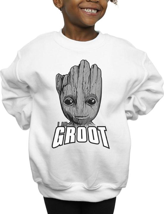 Actual product image Girls Guardians Of The Galaxy Groot Face Sweatshirt (152, 158)