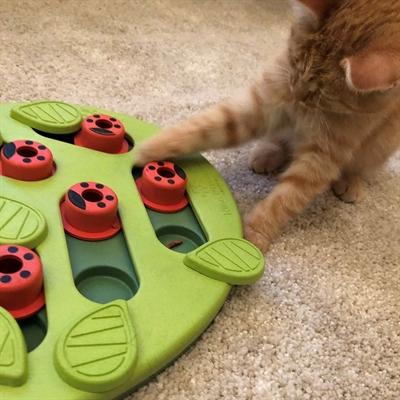 Produktbild Petstages Puzzle (Beschäftigungsspielzeug Katze)