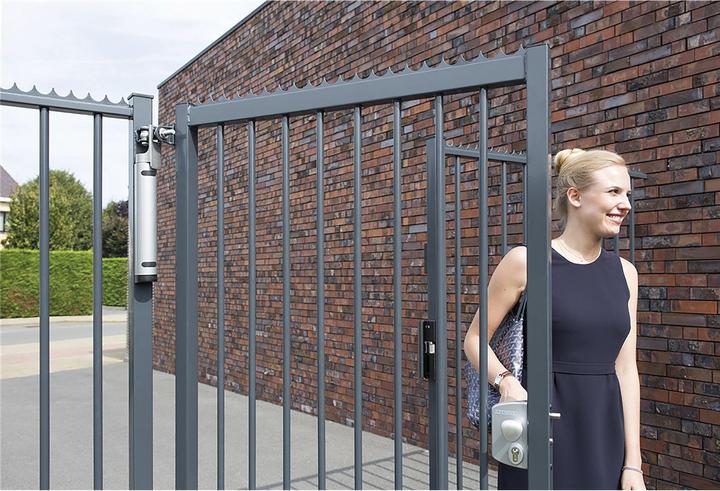 Immagine prodotto Locinox Chiudiporta Rhino, per porte fino a 150 kg, alluminio color argento