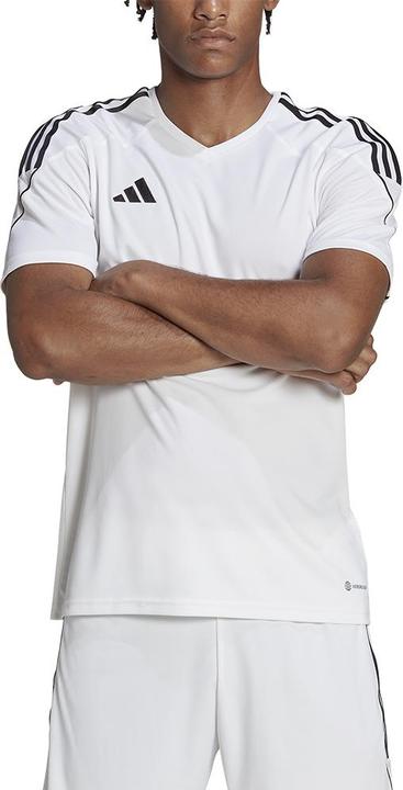Produktbild adidas Tiro 23 Trikot Herren (XXL)