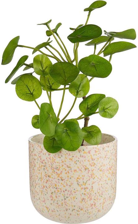 Image du produit home24 Spot (19.70 cm)
