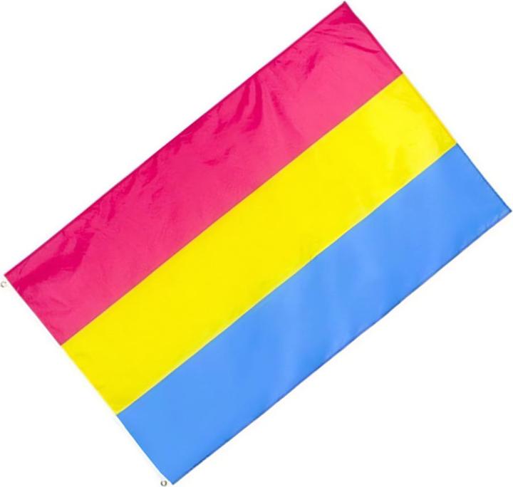 Produktbild Henbrandt Fahne Pansexual Polyester