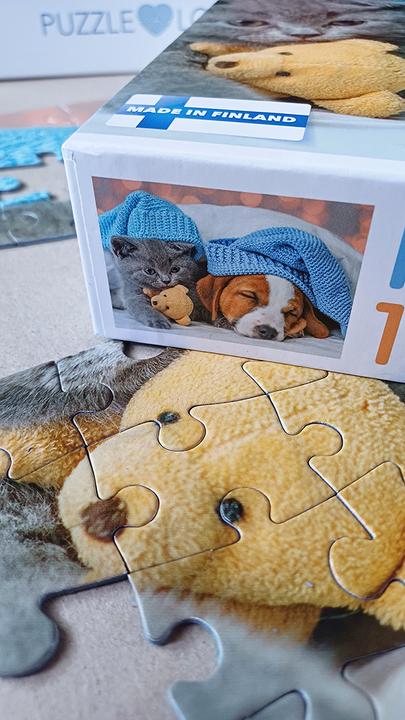 Produktbild Selecta Spielzeug Puzzle Süsses Kätzchen und schläfriger Hund, 100 Teile. (100 Teile)