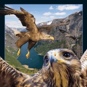 Actual product image Worth Keeping 3D-Adler-Magnet