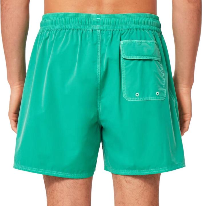 Actual product image Oakley Robinson RC 16" Beach Shorts (L)