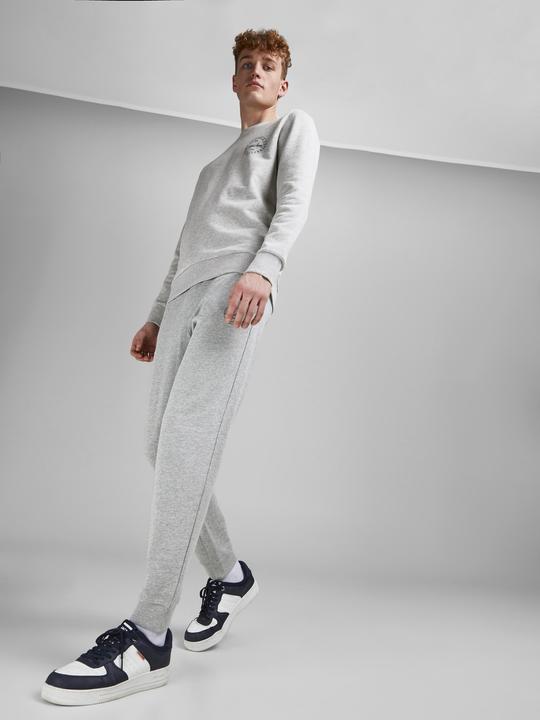 Image du produit Jack & Jones Gordon Sweathose (S)