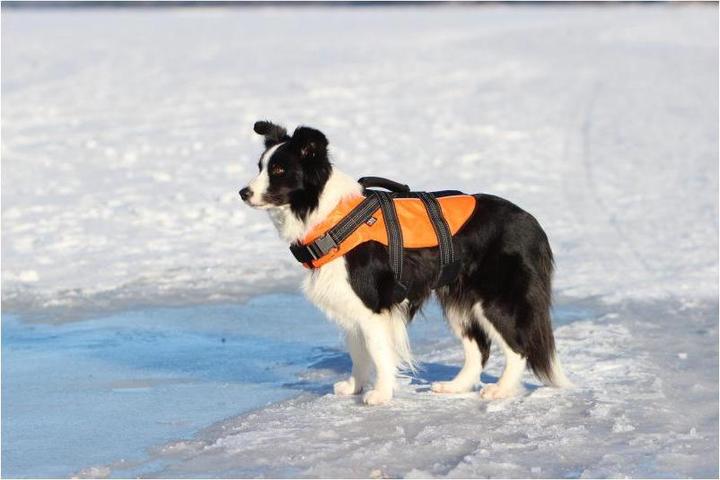Produktbild Rukka Safety Life Vest (XS, Hundeweste)