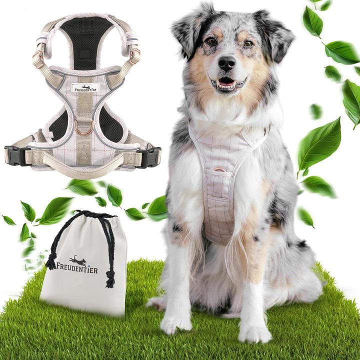 Produktbild Freudentier Clyde Hundegeschirr (S, Hund, Allgemein)