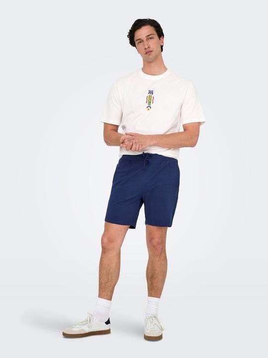 Produktbild Only & Sons Onskian Reg Seersucker Shorts (M)