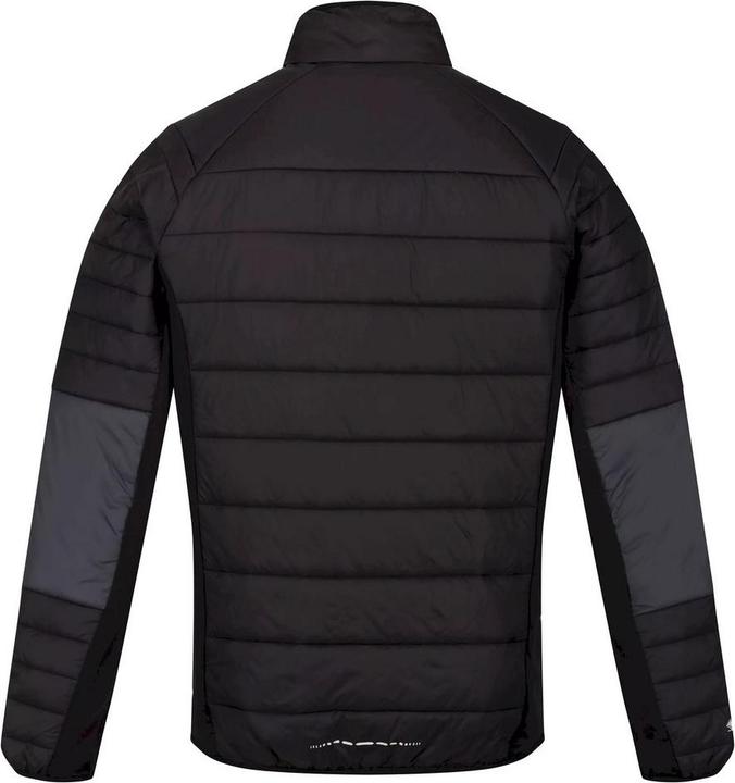 Produktbild Regatta Halton VI Softshelljacke (S)