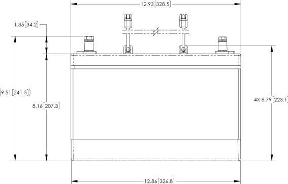 Valori nutrizionali e ingredienti Lifeline GPL-3100T AGM (12 V, 100 Ah)