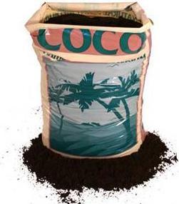 Immagine prodotto Canna Cocos Professional Plus 50L (50 l)
