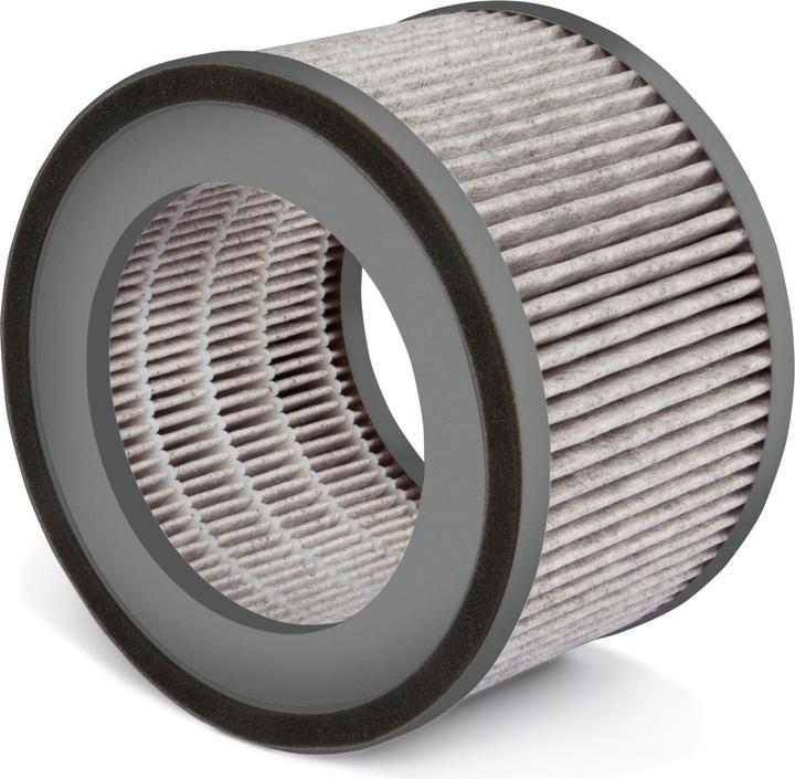 Soehnle Ersatzfilter Airfresh Clean 300 (1 x)