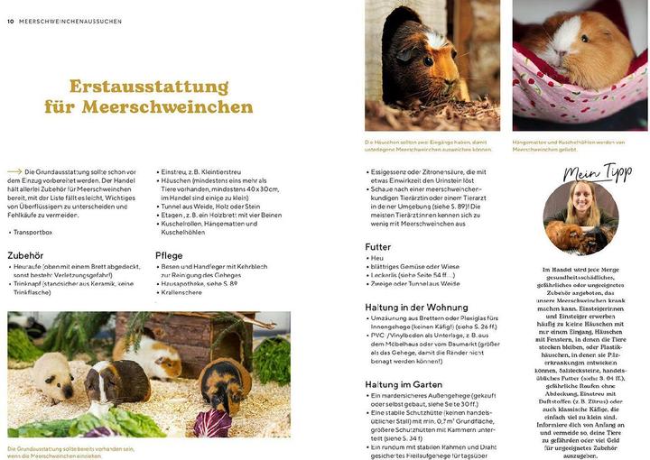 Produktbild Kosmos Meerschweinchen (Deutsch, Viola Schillinger, 2023)