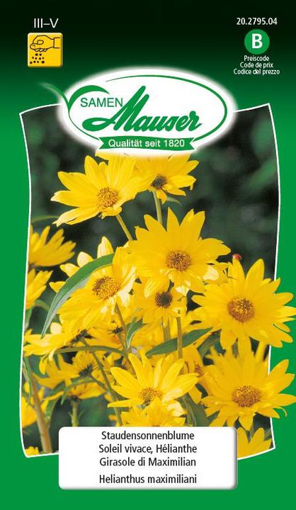 Produktbild Samen Mauser Staudensonnenblume (Blumensamen)