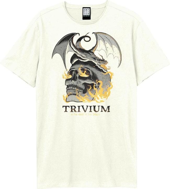 Amplified Flaming Skull TShirt